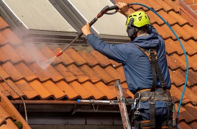 Démoussage et hydrofuge de toiture à Sainte-Cécile